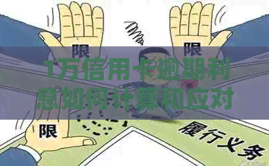 1万信用卡逾期利息如何计算和应对