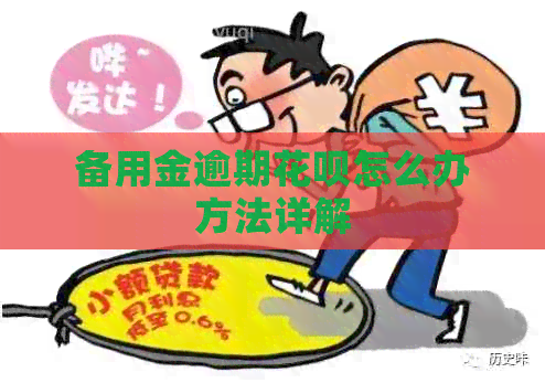 备用金逾期信用卡怎么办方法详解