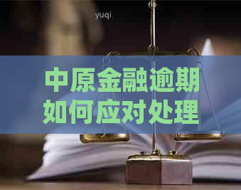 中原金融逾期如何应对处理