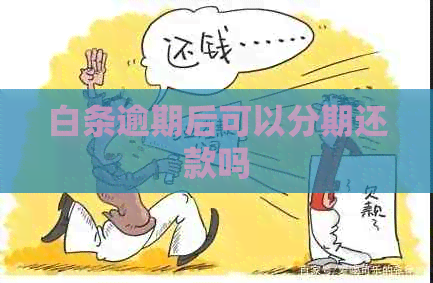 白条逾期后可以分期还款吗