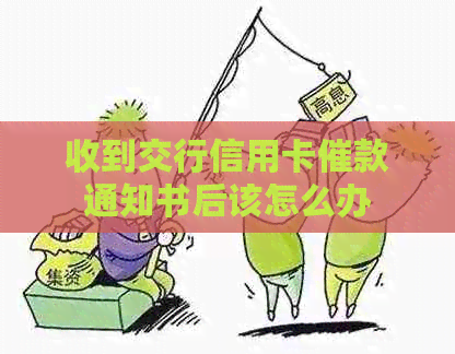 收到交行信用卡催款通知书后该怎么办