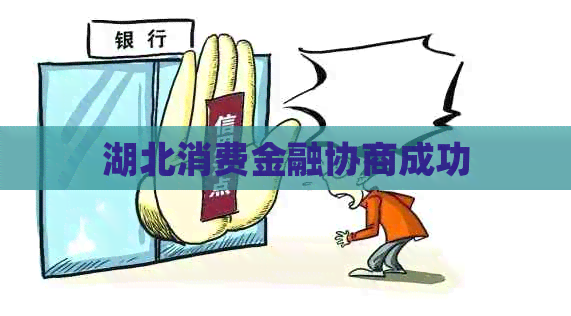 湖北消费金融协商成功