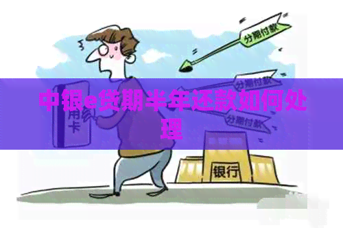 中银e贷期半年还款如何处理