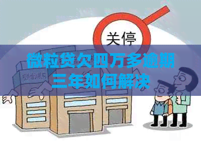 微粒贷欠四万多逾期三年如何解决