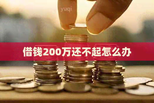 借钱200万还不起怎么办