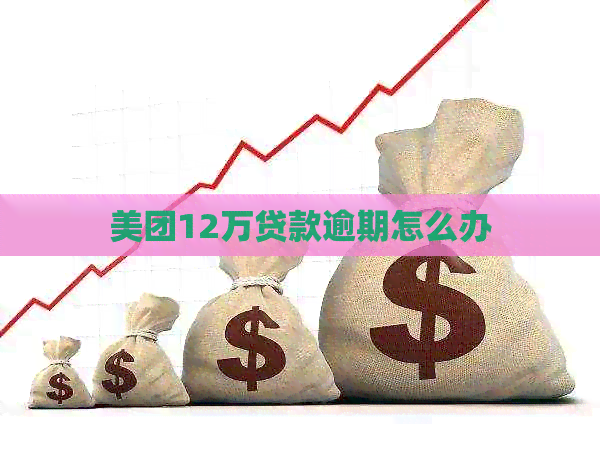 美团12万贷款逾期怎么办
