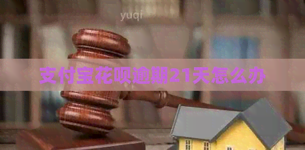 支付宝信用卡逾期21天怎么办
