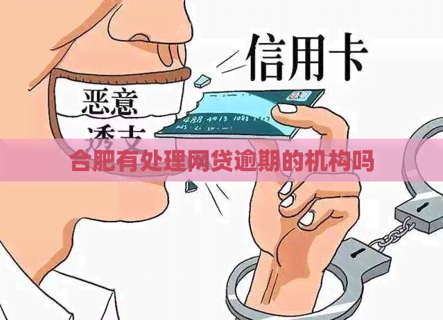 合肥有处理网贷逾期的机构吗