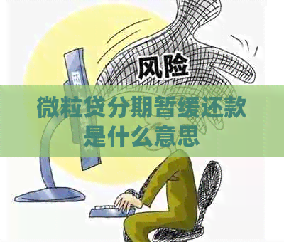 微粒贷分期暂缓还款是什么意思