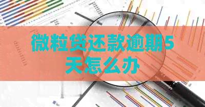 微粒贷还款逾期5天怎么办