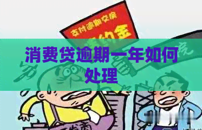 消费贷逾期一年如何处理
