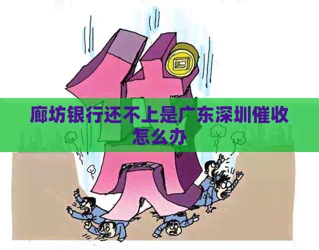 廊坊银行还不上是广东深圳怎么办