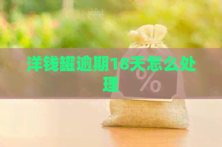 洋钱罐逾期18天怎么处理