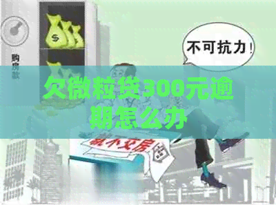 欠微粒贷300元逾期怎么办