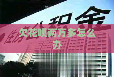 欠花呗两万多怎么办