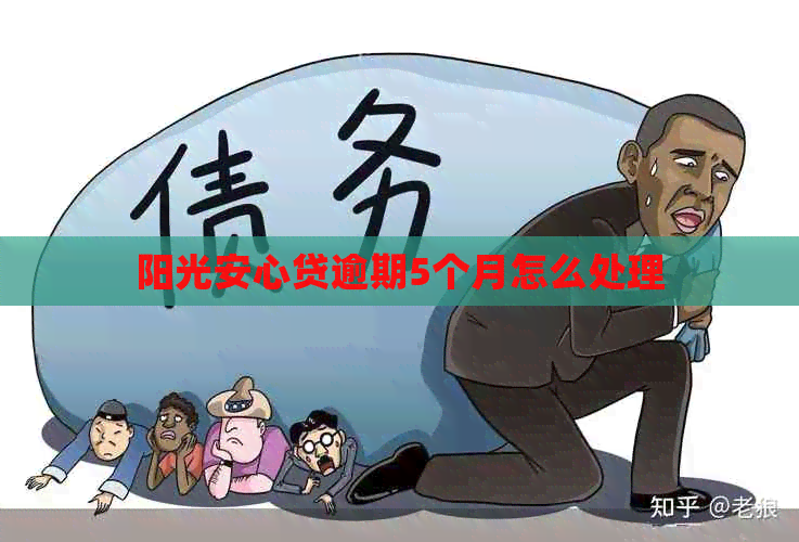 阳光安心贷逾期5个月怎么处理