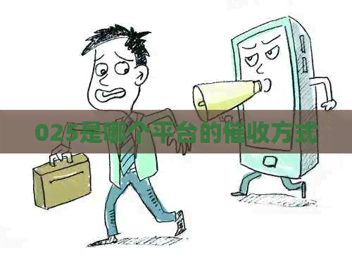 025是哪个平台的方式