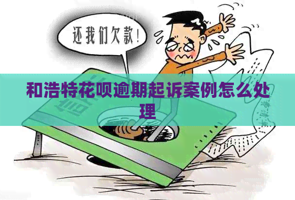 和浩特花呗逾期起诉案例怎么处理