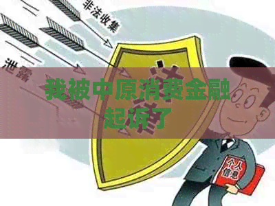 我被中原消费金融起诉了