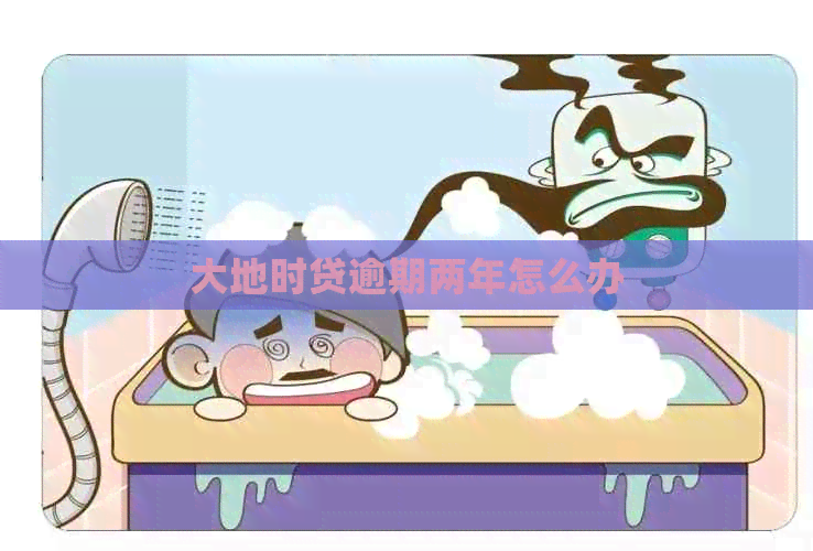 大地时贷逾期两年怎么办