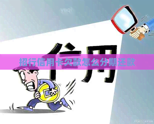 招行信用卡欠款怎么分期还款