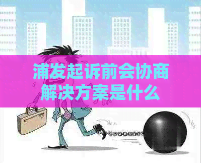 浦发起诉前会协商解决方案是什么