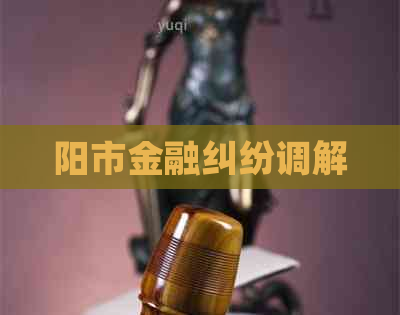 阳市金融纠纷调解