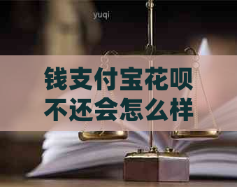 钱支付宝花呗不还会怎么样