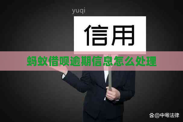 蚂蚁借呗逾期信息怎么处理