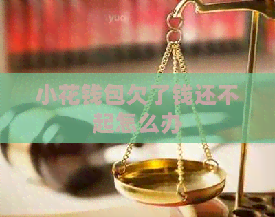 小花钱包欠了钱还不起怎么办