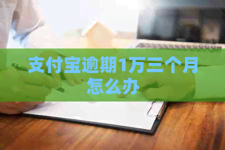 支付宝逾期1万三个月怎么办