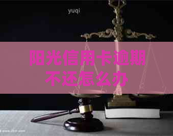 阳光信用卡逾期不还怎么办