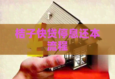 桔子快贷停息还本流程