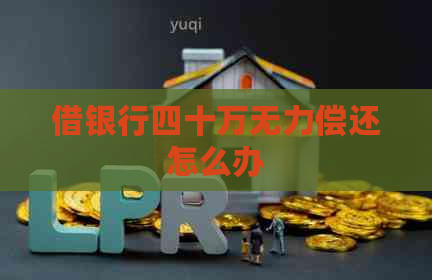 借银行四十万无力偿还怎么办