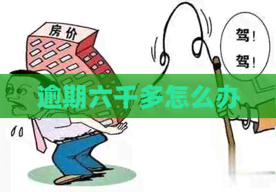 逾期六千多怎么办