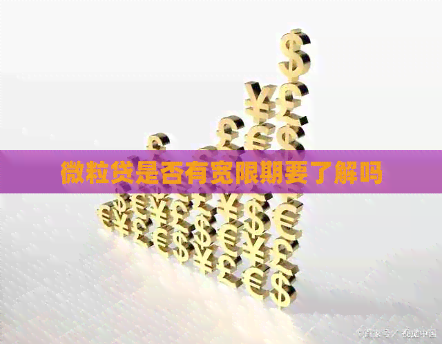 微粒贷是否有宽限期要了解吗