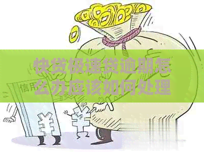 快贷极速贷逾期怎么办应该如何处理