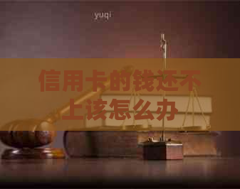 信用卡的钱还不上该怎么办