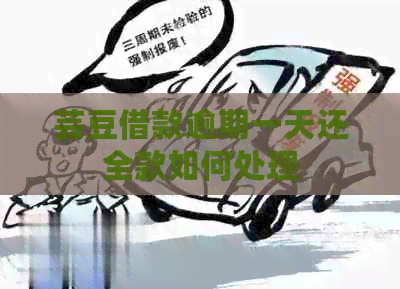 芸豆借款逾期一天还全款如何处理