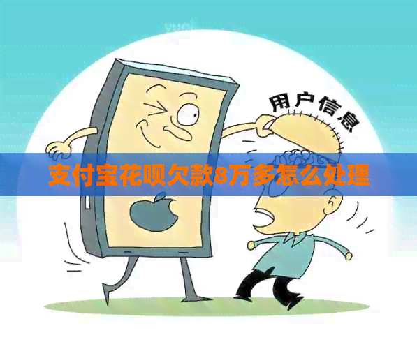 支付宝花呗欠款8万多怎么处理