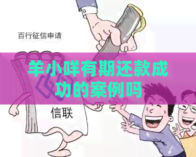 羊小咩有期还款成功的案例吗