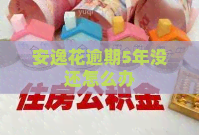 安逸花逾期5年没还怎么办