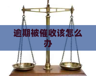 逾期被该怎么办