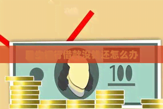民生银行借款没钱还怎么办