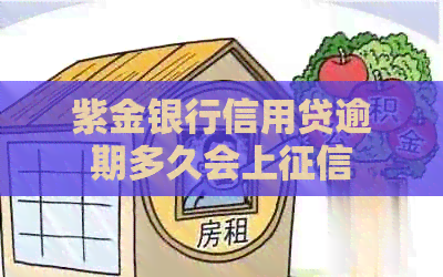 紫金银行信用贷逾期多久会上