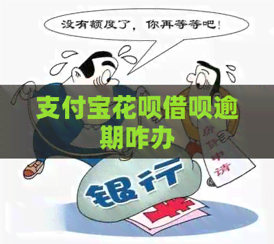 支付宝花呗借呗逾期咋办