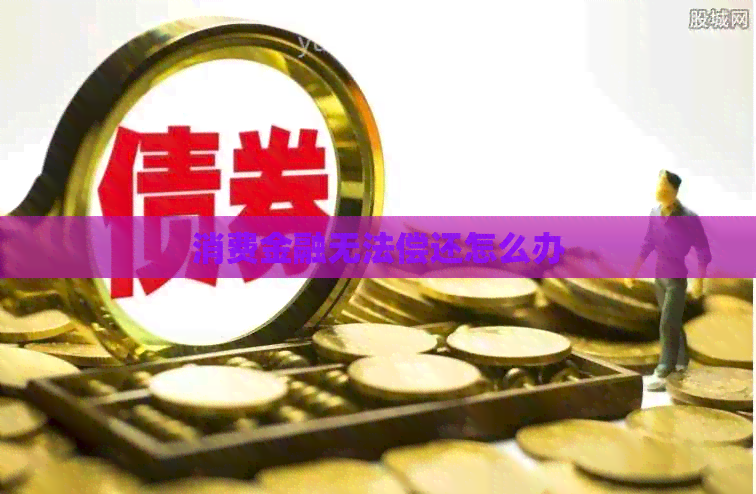 消费金融无法偿还怎么办