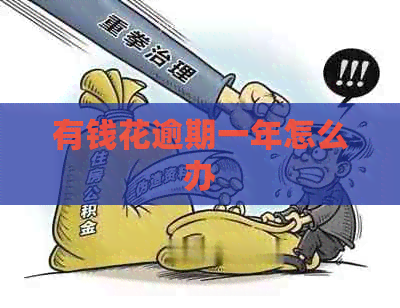 有钱花逾期一年怎么办