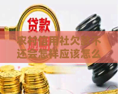 农村信用社欠款不还会怎样应该怎么解决