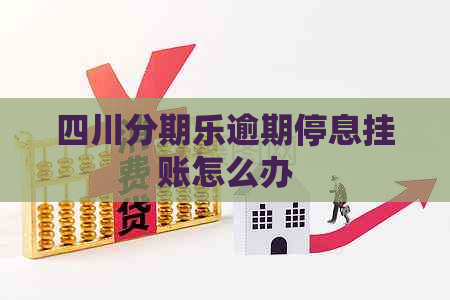 四川逾期停息挂账怎么办